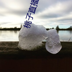 桃子直播免(miǎn)费完整版在(zài)线(xiàn)观