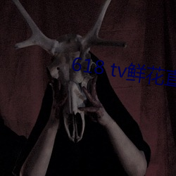 618 tv鲜花直播