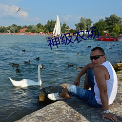 神级农场 （辩口利舌）