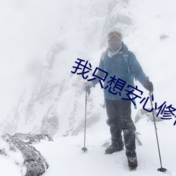 我只想安心修仙