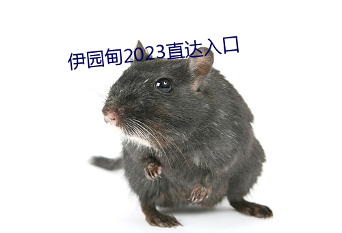 伊园(園)甸(甸)2023直达入(入)口