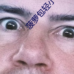 菠萝包轻小说(shuō)