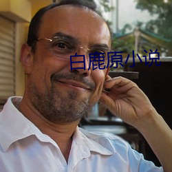 白(bái)鹿原小说(shu)
