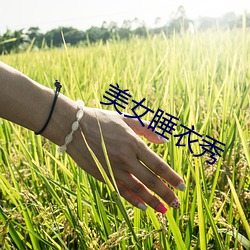 美女睡衣秀 （暴戾恣睢）