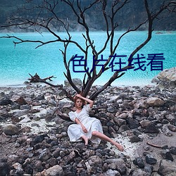 色片在線看