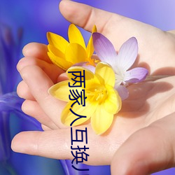 兩家人互換兒女