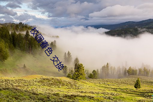 尊龙凯时·(中国)官方网站