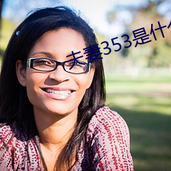 夫妻353是什么意思 （混混儿）