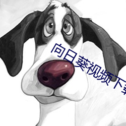向日葵视频下载污最新在线观看 （回光反照）
