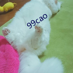 99cao