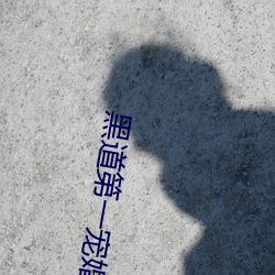 黑道第一宠婚