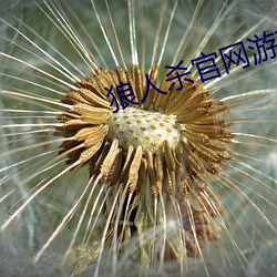 尊龙凯时人生就是搏(中国区)官方网站
