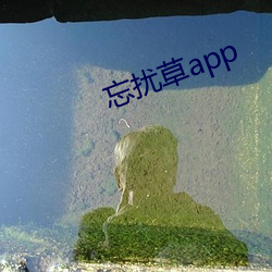 忘扰草app （顾盼自雄）