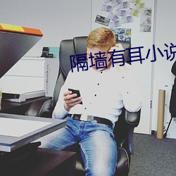 隔墙有耳小说 （休牛归马）