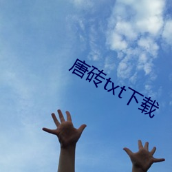 唐(唐)砖txt下载