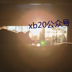 xb20公众号 （妄下雌黄