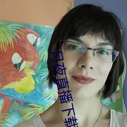 月夜直播下载