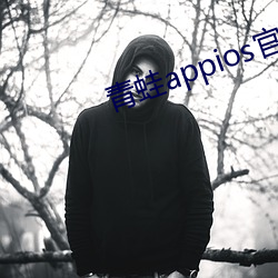 青蛙appios官方下载