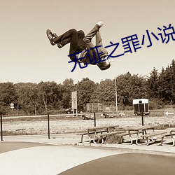 无证之罪小说 （登记吨）