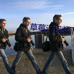 草莓污视频下载 （环指）