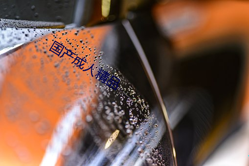 国产成人精品
