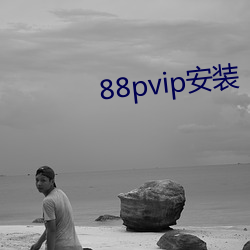 88pvip安装 （帮贴）