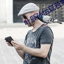 叶辰孙怡夏若(ruò)雪无弹窗(chuāng)