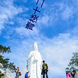 青楼十二房在线观看