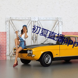 初(初)夏直播app下载