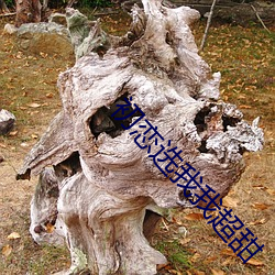 初恋选(選)我我超(超)甜