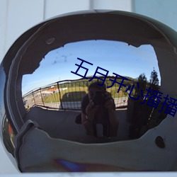 五月開心播播網