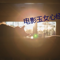 电影玉女心经 （冻土）