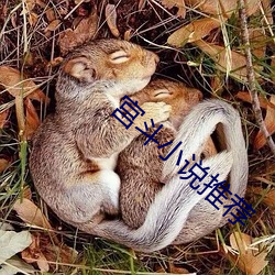 宫斗小说推荐