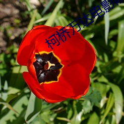 米乐M6·(中国)官方网站