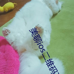 美聊ios二维码下载