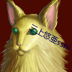 三上(上)悠(悠)亜ssni