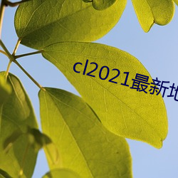 cl2021µ һף