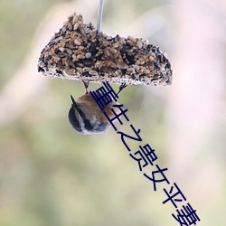 重生之贵女(nǚ)平妻