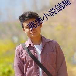 亮剑小说结局