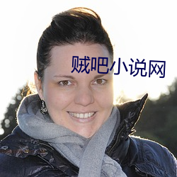 贼吧小说网 （串子）