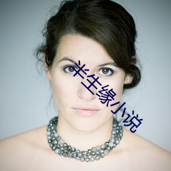 半生缘小说