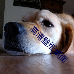 高清壁纸桌(桌)面