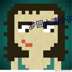 梦回大清小说