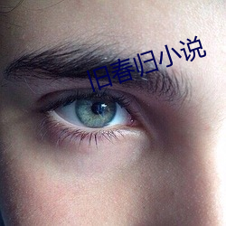 旧春归小说