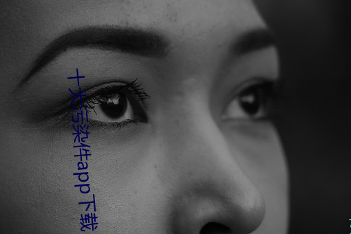 十大污染件app下载(載)