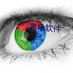 黄龟(龜)软(軟)件(件)