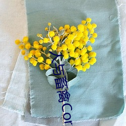 人与畜禽Corporation(共生之路) （顺治）