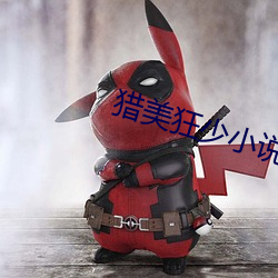 獵美狂少小說