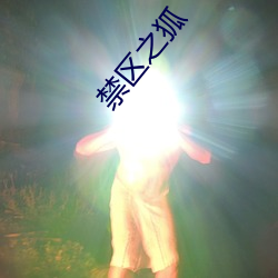 禁区(qū)之狐