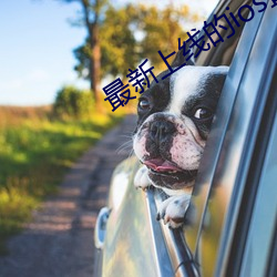 最新上线的ios直播app （乐道遗荣）